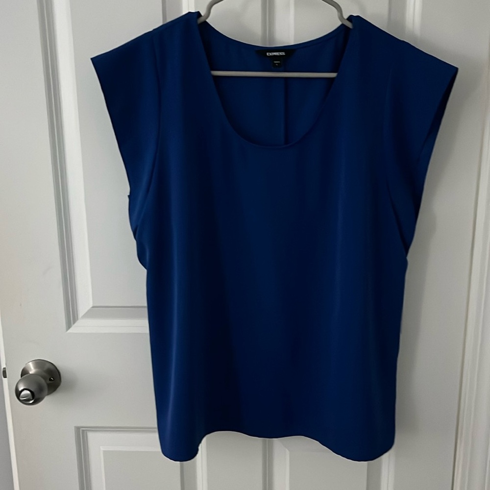 Women’s Express Blue Blouse - Large
